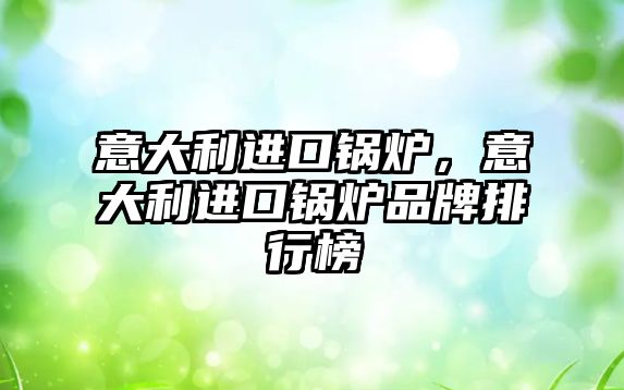 意大利進(jìn)口鍋爐，意大利進(jìn)口鍋爐品牌排行榜