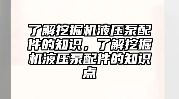 了解挖掘機液壓泵配件的知識，了解挖掘機液壓泵配件的知識點