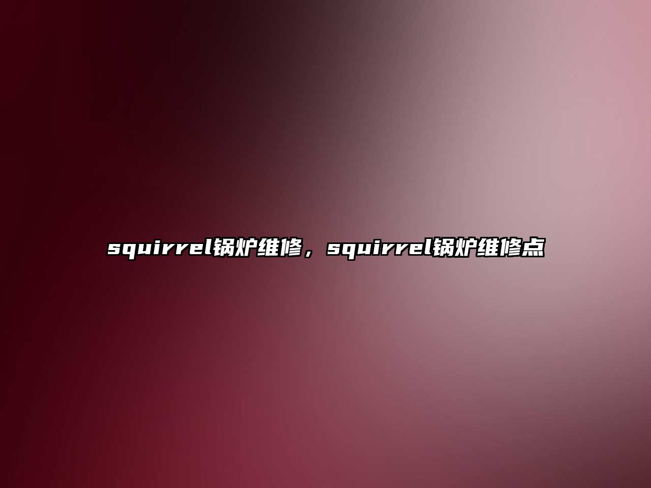 squirrel鍋爐維修，squirrel鍋爐維修點