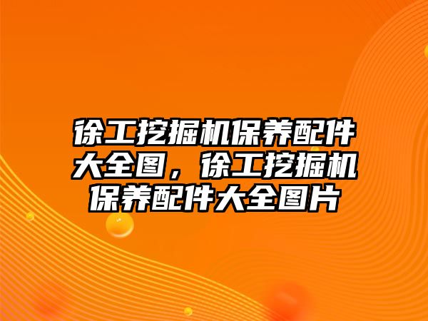 徐工挖掘機保養配件大全圖，徐工挖掘機保養配件大全圖片