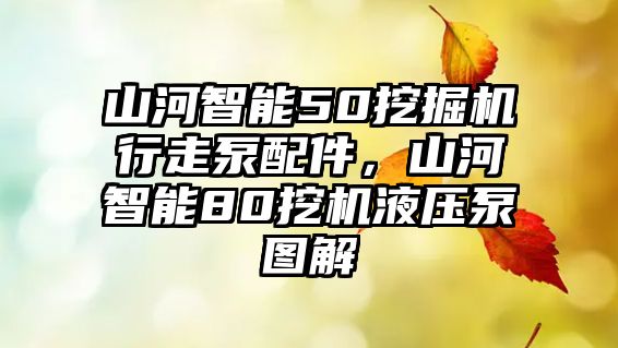 山河智能50挖掘機(jī)行走泵配件，山河智能80挖機(jī)液壓泵圖解