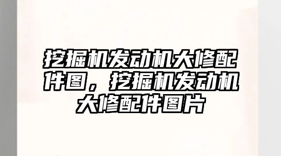 挖掘機(jī)發(fā)動機(jī)大修配件圖，挖掘機(jī)發(fā)動機(jī)大修配件圖片