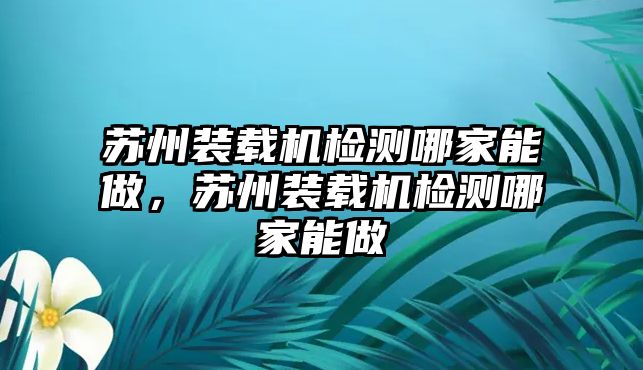 蘇州裝載機檢測哪家能做，蘇州裝載機檢測哪家能做