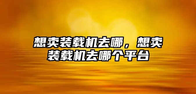 想賣裝載機去哪，想賣裝載機去哪個平臺