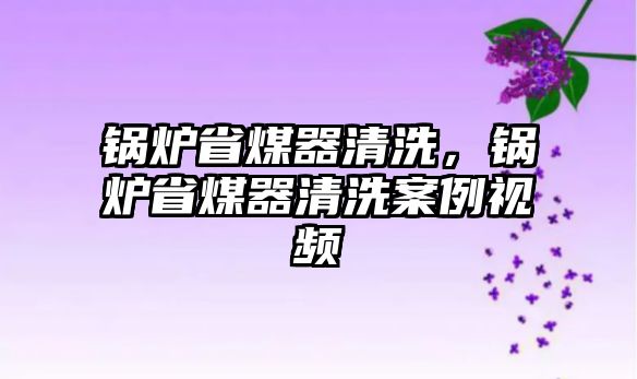 鍋爐省煤器清洗，鍋爐省煤器清洗案例視頻