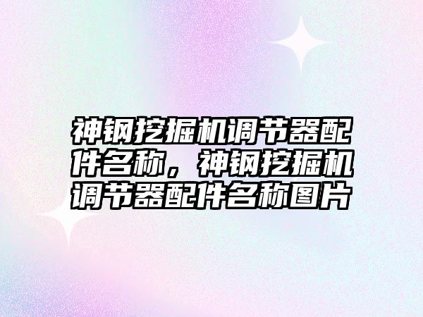 神鋼挖掘機調節器配件名稱，神鋼挖掘機調節器配件名稱圖片