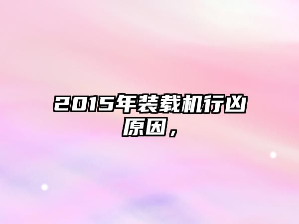 2015年裝載機行兇原因，