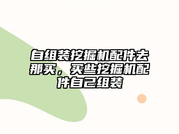 自組裝挖掘機(jī)配件去那買(mǎi)，買(mǎi)些挖掘機(jī)配件自己組裝