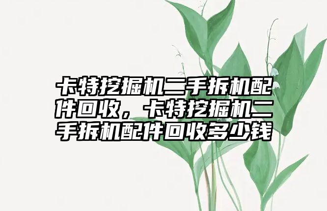 卡特挖掘機二手拆機配件回收，卡特挖掘機二手拆機配件回收多少錢