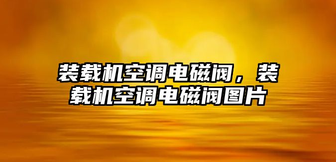 裝載機空調電磁閥，裝載機空調電磁閥圖片