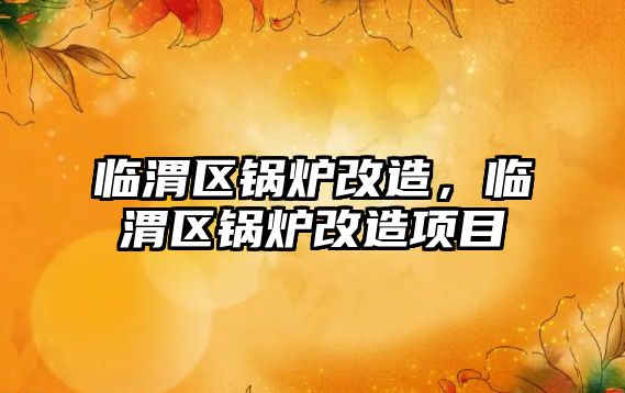 臨渭區鍋爐改造，臨渭區鍋爐改造項目