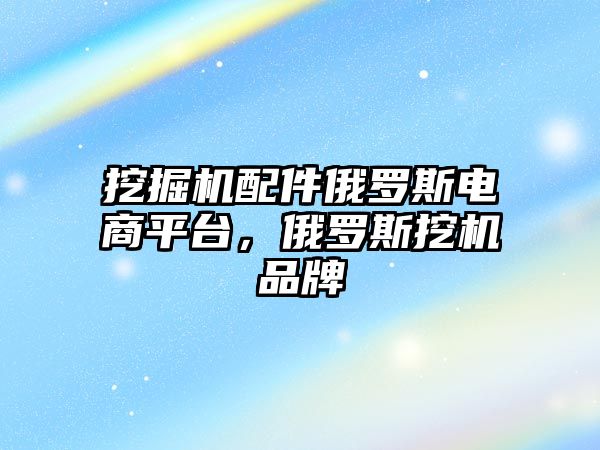 挖掘機配件俄羅斯電商平臺，俄羅斯挖機品牌