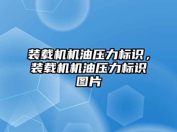 裝載機機油壓力標識，裝載機機油壓力標識圖片