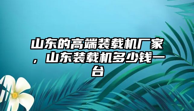 山東的高端裝載機廠家，山東裝載機多少錢一臺