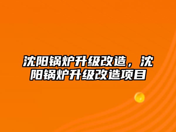 沈陽鍋爐升級改造，沈陽鍋爐升級改造項目