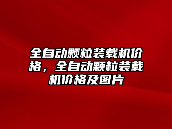 全自動顆粒裝載機價格，全自動顆粒裝載機價格及圖片