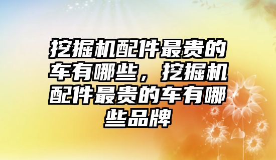 挖掘機配件最貴的車有哪些，挖掘機配件最貴的車有哪些品牌