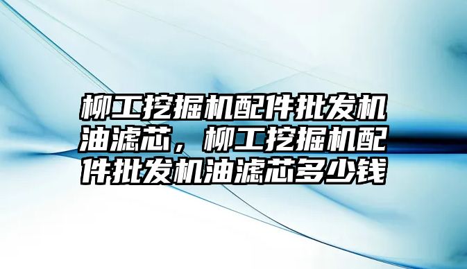 柳工挖掘機配件批發機油濾芯，柳工挖掘機配件批發機油濾芯多少錢