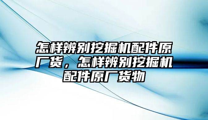 怎樣辨別挖掘機配件原廠貨，怎樣辨別挖掘機配件原廠貨物