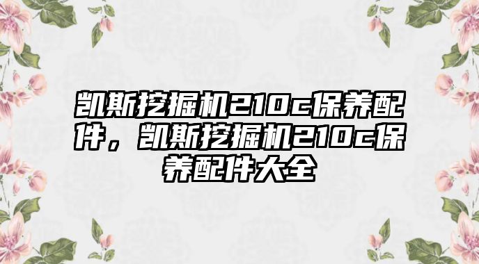 凱斯挖掘機(jī)210c保養(yǎng)配件，凱斯挖掘機(jī)210c保養(yǎng)配件大全