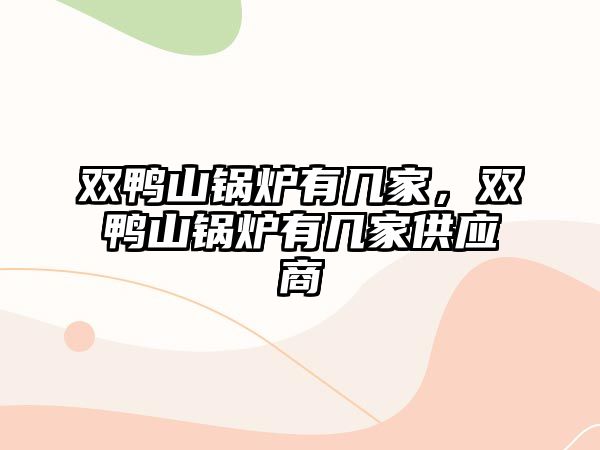 雙鴨山鍋爐有幾家，雙鴨山鍋爐有幾家供應(yīng)商