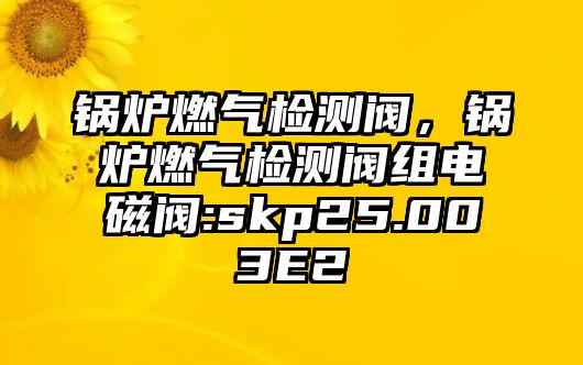 鍋爐燃氣檢測閥，鍋爐燃氣檢測閥組電磁閥:skp25.003E2