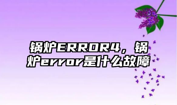 鍋爐ERROR4，鍋爐error是什么故障