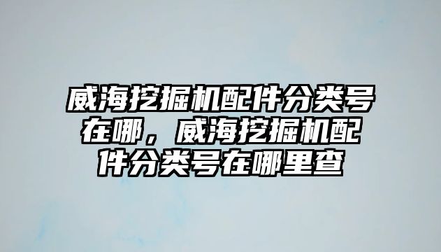 威海挖掘機配件分類號在哪，威海挖掘機配件分類號在哪里查