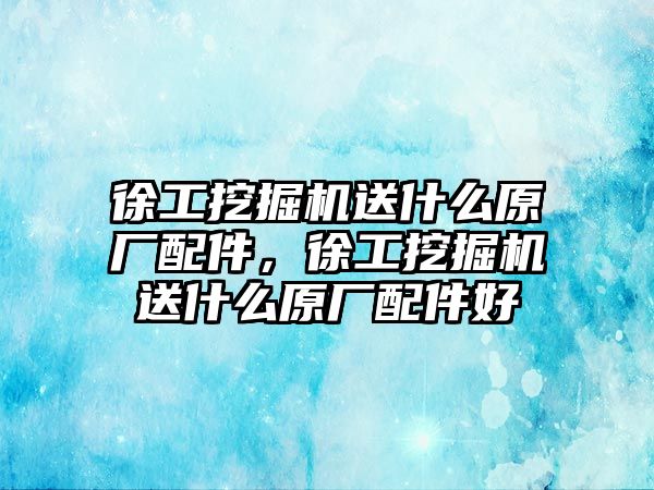 徐工挖掘機送什么原廠配件，徐工挖掘機送什么原廠配件好