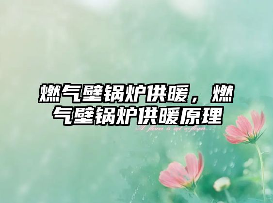 燃氣壁鍋爐供暖，燃氣壁鍋爐供暖原理