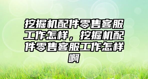 挖掘機配件零售客服工作怎樣，挖掘機配件零售客服工作怎樣啊