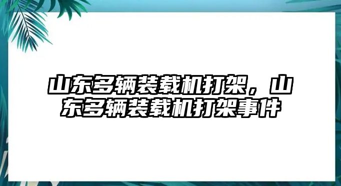 山東多輛裝載機打架，山東多輛裝載機打架事件