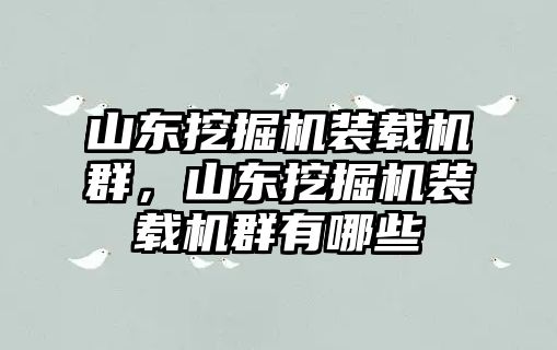 山東挖掘機(jī)裝載機(jī)群，山東挖掘機(jī)裝載機(jī)群有哪些