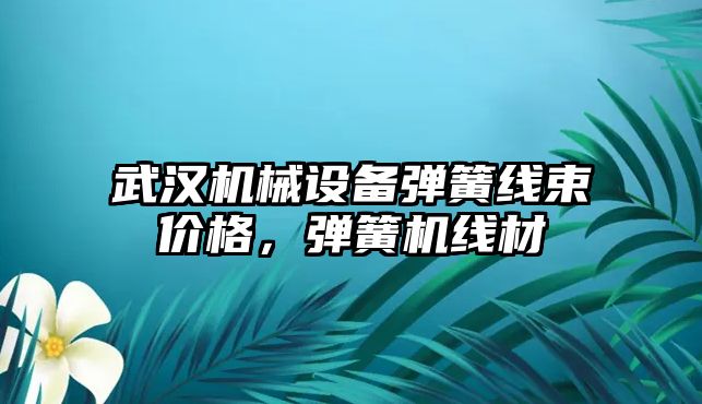 武漢機械設備彈簧線束價格，彈簧機線材