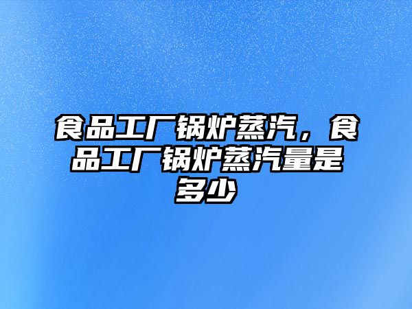 食品工廠鍋爐蒸汽，食品工廠鍋爐蒸汽量是多少