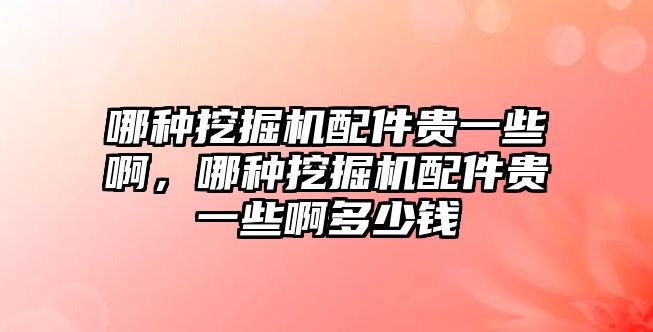 哪種挖掘機(jī)配件貴一些啊，哪種挖掘機(jī)配件貴一些啊多少錢