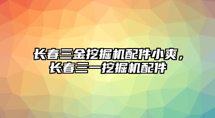 長春三金挖掘機(jī)配件小爽，長春三一挖掘機(jī)配件