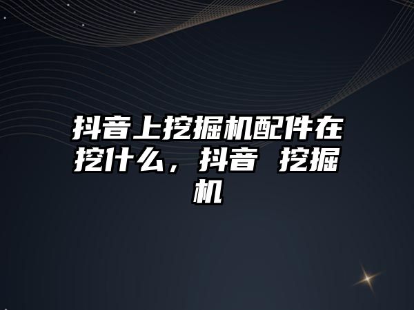 抖音上挖掘機配件在挖什么，抖音 挖掘機