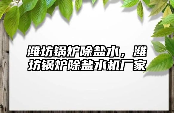 濰坊鍋爐除鹽水，濰坊鍋爐除鹽水機廠家