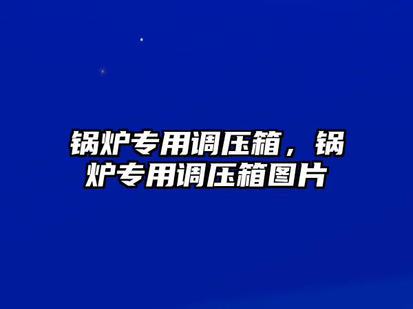 鍋爐專用調壓箱，鍋爐專用調壓箱圖片