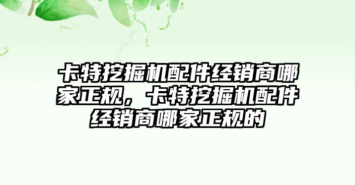 卡特挖掘機配件經(jīng)銷商哪家正規(guī)，卡特挖掘機配件經(jīng)銷商哪家正規(guī)的