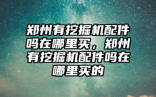 鄭州有挖掘機(jī)配件嗎在哪里買(mǎi)，鄭州有挖掘機(jī)配件嗎在哪里買(mǎi)的