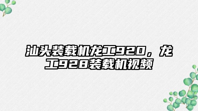 汕頭裝載機龍工920，龍工928裝載機視頻