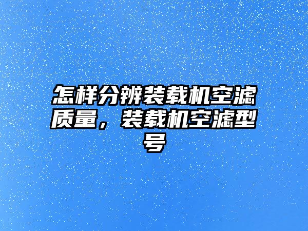 怎樣分辨裝載機空濾質量，裝載機空濾型號