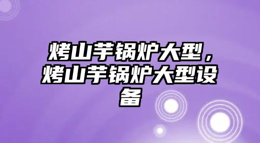 烤山芋鍋爐大型，烤山芋鍋爐大型設備