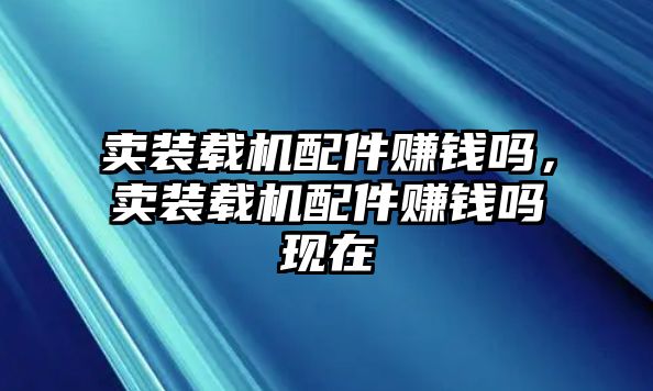 賣裝載機配件賺錢嗎，賣裝載機配件賺錢嗎現在