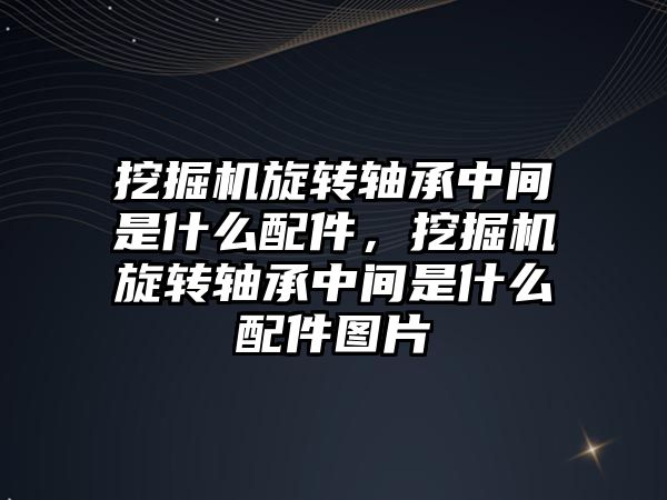 挖掘機旋轉軸承中間是什么配件，挖掘機旋轉軸承中間是什么配件圖片