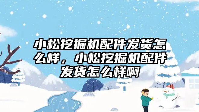 小松挖掘機配件發貨怎么樣，小松挖掘機配件發貨怎么樣啊