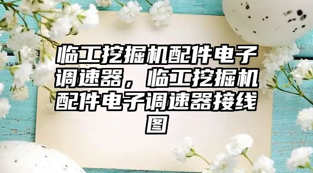 臨工挖掘機配件電子調速器，臨工挖掘機配件電子調速器接線圖