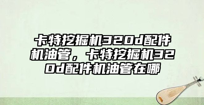 卡特挖掘機(jī)320d配件機(jī)油管，卡特挖掘機(jī)320d配件機(jī)油管在哪